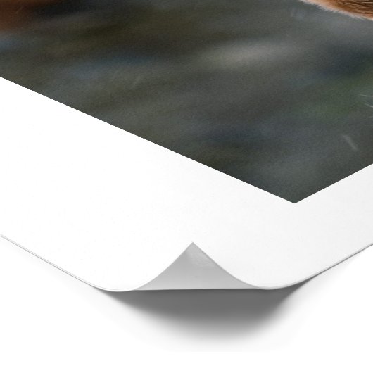 ペンギン，素敵 ポスター (角)