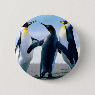 ペンギン 缶バッジ