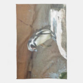 ペンギン,野生動物,動物,野鳥,動物園,夏 キッチンタオル (縦)