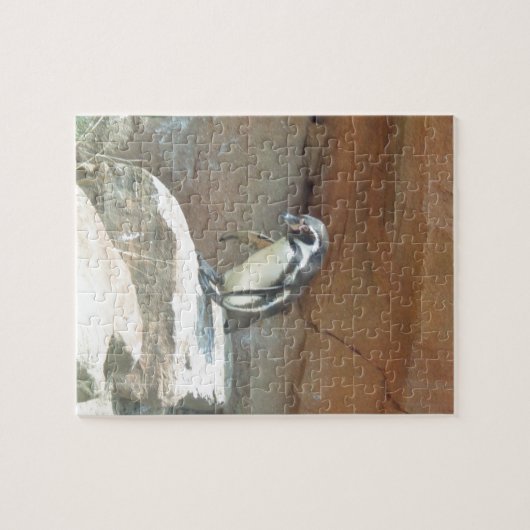 ペンギン,野生動物,動物,野鳥,動物園,夏 ジグソーパズル (横)