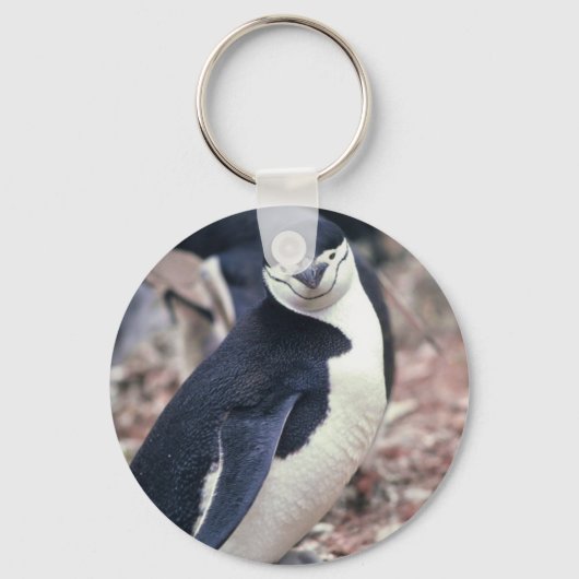 ペンギン 鳥 かわいい 動物 黒 白 水 キーホルダー (正面)