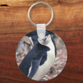 ペンギン 鳥 かわいい 動物 黒 白 水 キーホルダー (正面)