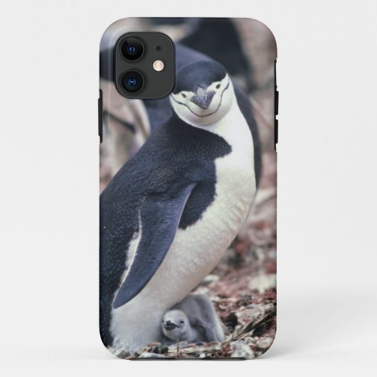 ペンギン 鳥 かわいい 動物 黒 白 水 Case-Mate iPhoneケース (裏面)