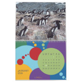 ペンギン- 2020カレンダー カレンダー (1月 2026)