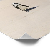 ペンギンat大きい石ビーチ、サイモンズタウン、サウス2 ポスター (角)