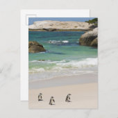 ペンギンat大きい石ビーチ、サイモンズタウン、サウス2 ポストカード (正面/裏面)