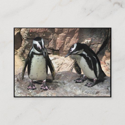 ペンギンATC 名刺 (正面)