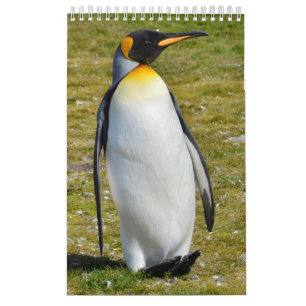 ペンギンPedia: 世界のペンギン カレンダー