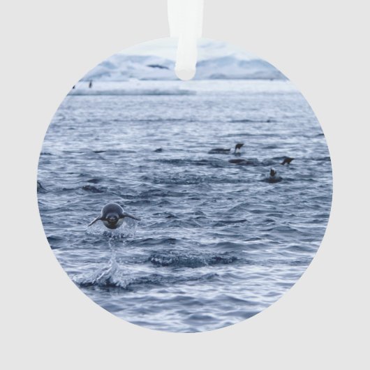 ペンギ飛んでいるン オーナメント (裏面)