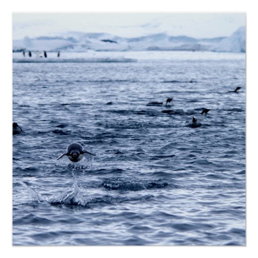 ペンギ飛んでいるン ポスター (正面)