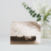 ペンサコーラビーチポストカード ポストカード (スタンド正面)