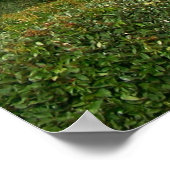 ペンサコーラビーチ徴候 ポスター (角)