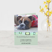 ペンシブ・ブリンドル・ボクサー カード (黄色い花)