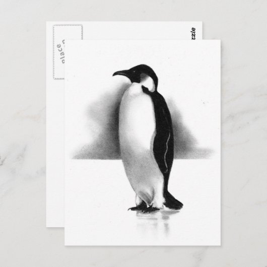 ペンシルのペンギン：現実主義アート ポストカード (正面/裏面)