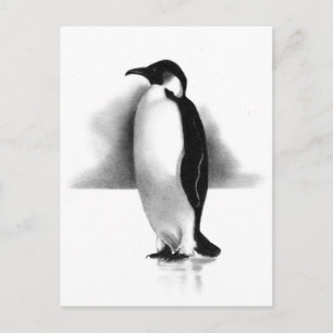 ペンシルのペンギン:現実主義アート ポストカード
