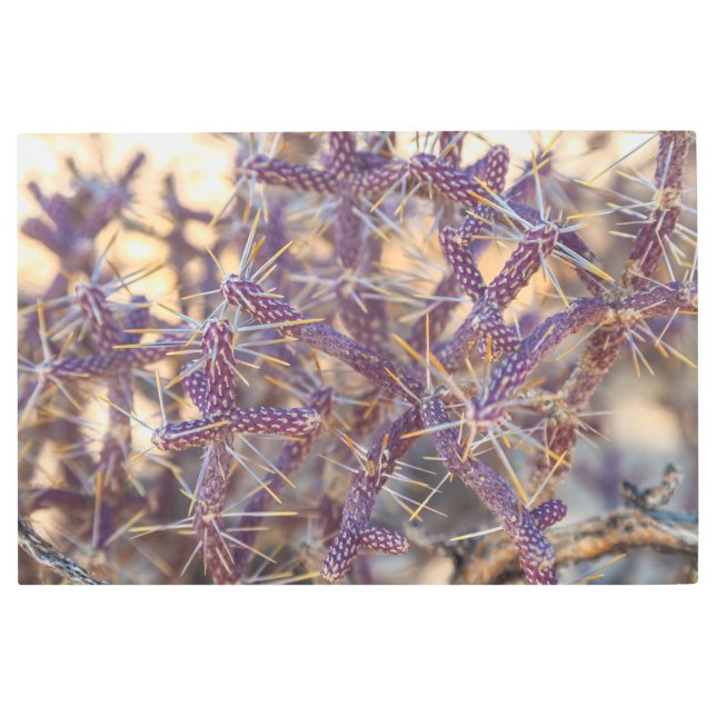 ペンシルチョーラ メタルプリント (正面)