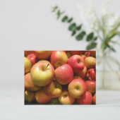 ペンシルバニアのりんごの郵便はがき ポストカード (スタンド正面)