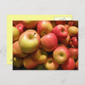 ペンシルバニアのりんごの郵便はがき ポストカード (正面/裏面)