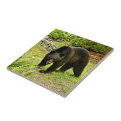 ペンシルバニアのツキノワグマ タイル (側面)