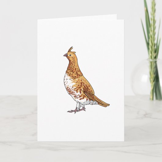 ペンシルバニアの州鳥 カード (正面)