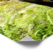 ペンシルバニアブラックベア ポスター (角)