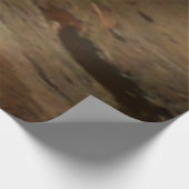 ペンシルバニア州のオハイオール滝 ウッドポスター (コーナー)