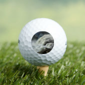 ペンシルバニア州のオハイオール滝 ゴルフボール (インサイチュ 木)