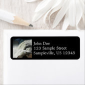 ペンシルバニア州のオハイオール滝 ラベル (インサイチュ)