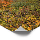 ペンシルバニア州の秋にオハイピールバレーを見渡す ポスター (角)