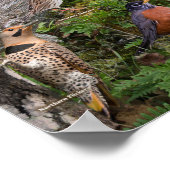 ペンシルバニア州の裏庭の鳥 ポスター (角)