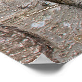 ペンシルバニア州の裏庭カスタムの鳥たち ポスター (角)