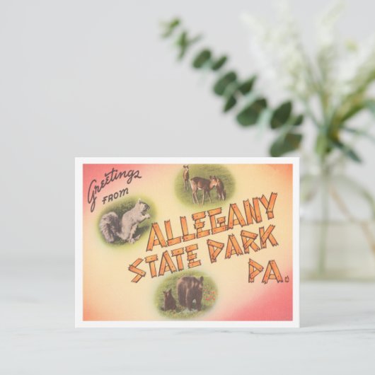 ペンシルバニア州アレガニー州パークよりご挨拶 ポストカード (スタンド正面)