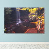 ペンシルバニア州オハイパイル州パークキュウリ滝 キャンバスプリント (インサイチュ (ウッドフロア))