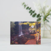 ペンシルバニア州オハイピレ州パーク、キュウリ滝 ポストカード (スタンド正面)