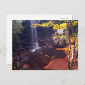 ペンシルバニア州オハイピレ州パーク、キュウリ滝 ポストカード (正面/裏面)