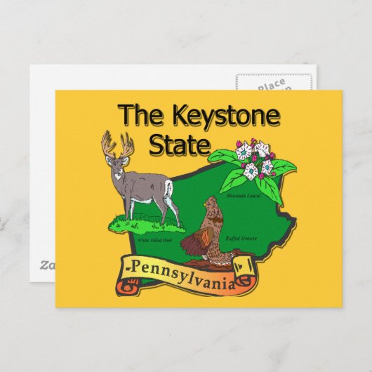 ペンシルバニア州バードディアフラワー ポストカード (正面/裏面)