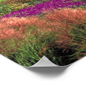 ペンシルバニア州ロングウッドガーデン ポスター (角)