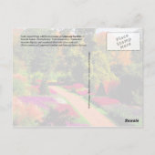 ペンシルバニア州ロングウッドガーデン ポストカード (裏面)