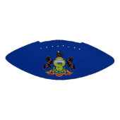 ペンシルバニア州旗を持つ愛国的なアメリカンフットボール アメリカンフットボール (パネル)