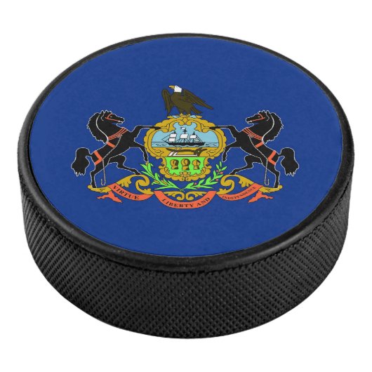 ペンシルバニア州旗を持つ愛国的なホッケーパック アイスホッケーパック (3/4)