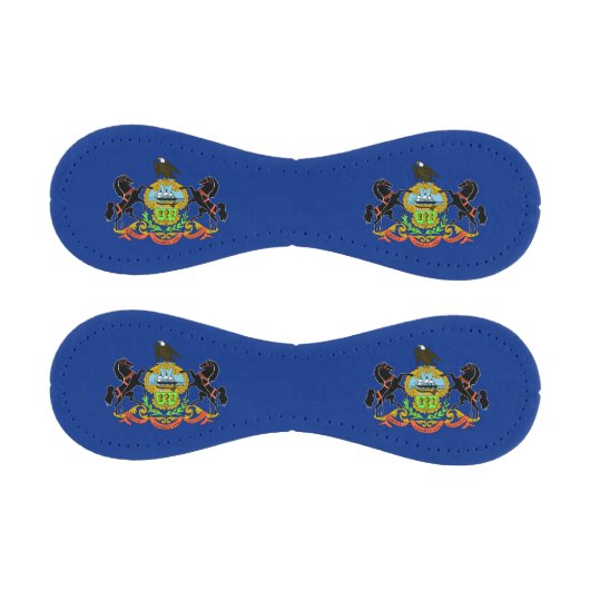 ペンシルバニア州旗を持つ愛国野球 野球ボール (パネル)