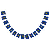 ペンシルバニア州旗パーティー、バンティング旗/結婚式 バンティングフラッグ (全)