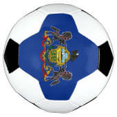 ペンシルバニア州旗 サッカーボール (回転)