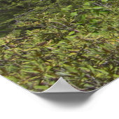 ペンシルバニア景観 ポスター (角)