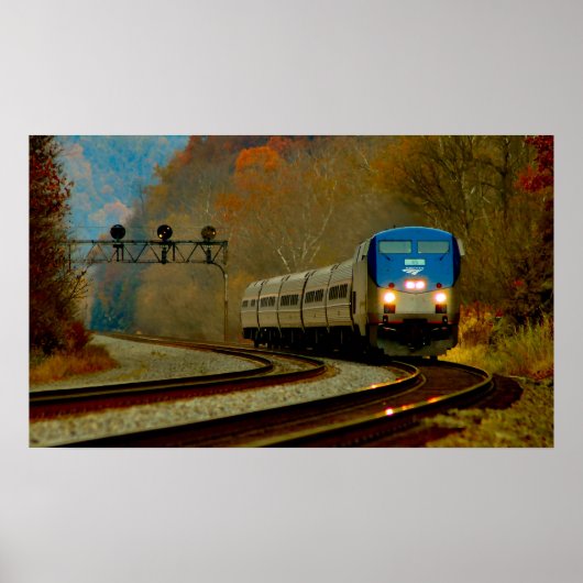 ペンシルバニア紀 ポスター (正面)