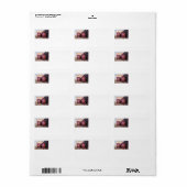 ペンシルバニア鉄道E-8a,s (JTFS) 5809および5711 ラベル (フルシート)