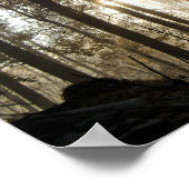 ペンシルバニア・ウッズの朝 ポスター (角)