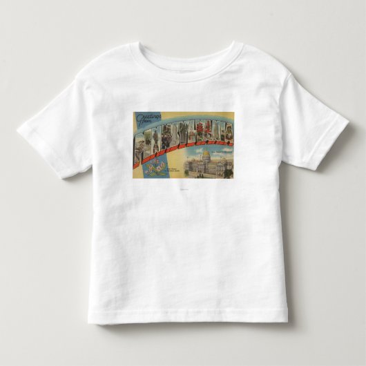 ペンシルバニア(州都か花) 2 トドラーTシャツ (正面)