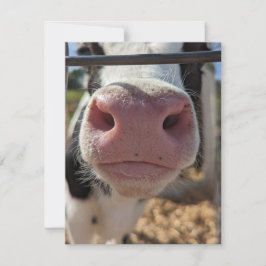 ペンシルベニアの農場の乳牛 ノートカード