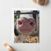 ペンシルベニアの農場の乳牛 ノートカード (正面/裏面インサイチュ)